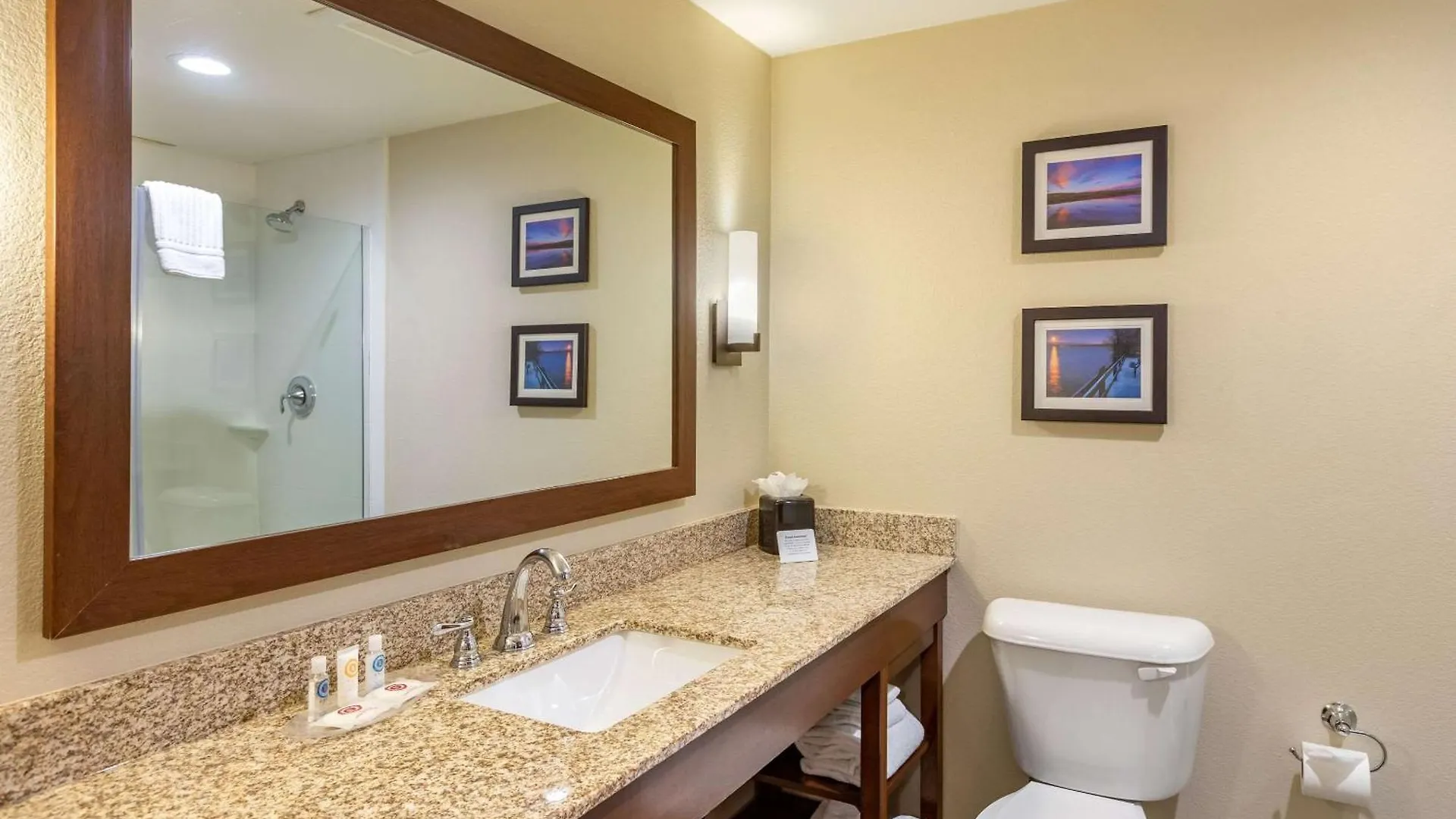 Hotel Comfort Suites Near Denver Downtown